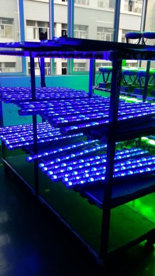Lavadora de pared de jardín industrial 18W RGB pantallas de luz