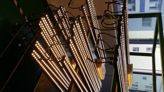 Instalación impermeable impermeable de alta potencia LED LED Luz lineal