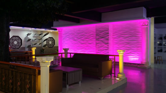 Lámpara impermeable CE ROHS 24W RGB LED Lavadora de pared al aire libre Iluminación