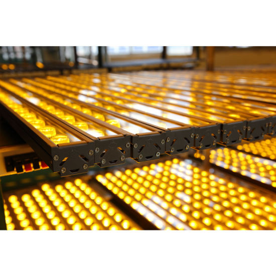 Luz de pared de pared LED de extrusión de aluminio de 500 mm